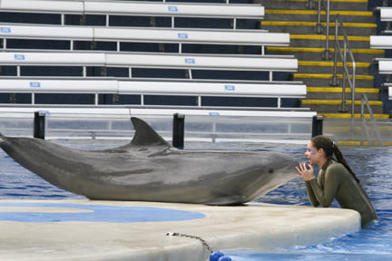 Dolphin Kiss