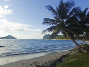 palm-by-the-beach Coconut Bay Resort Beach