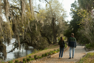 A couple stroll along the Ashley River Couple strolls by the river