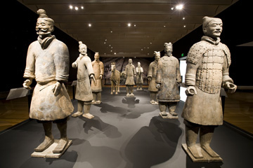 Terracotta Warriors Exhibit