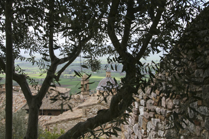 View from an Italian hillside hillside-scene-6-x-4.jpg