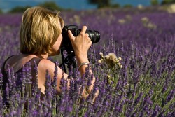 Debi in the lavender