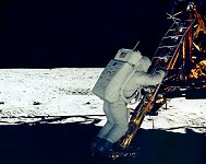 One small step for man... first-step.jpg