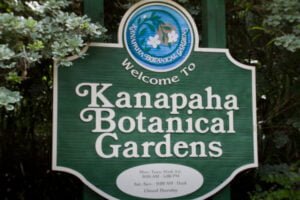 Kanapaha Botanical Gardens