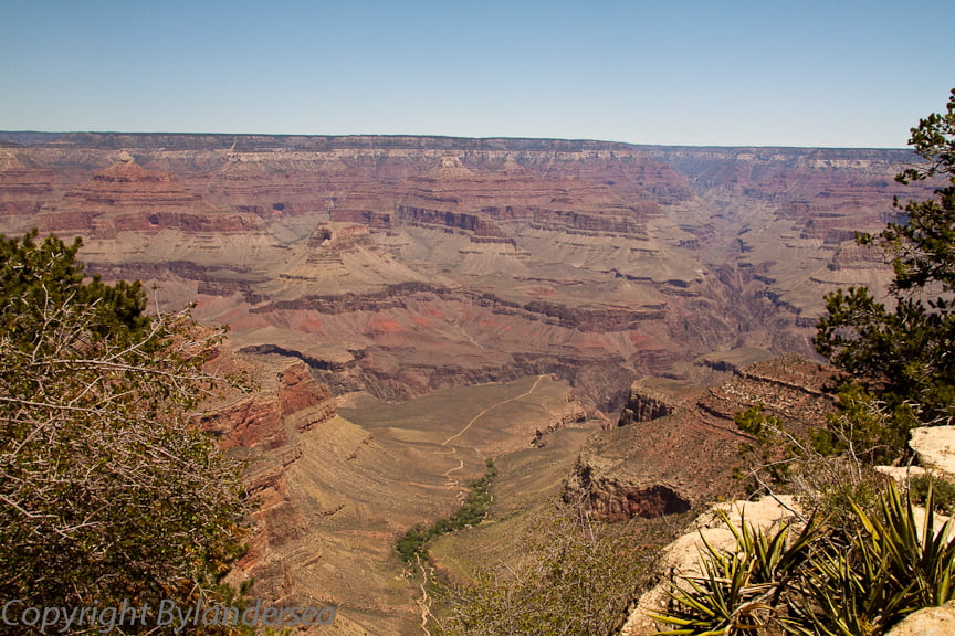 Grand Canyon Blog-9