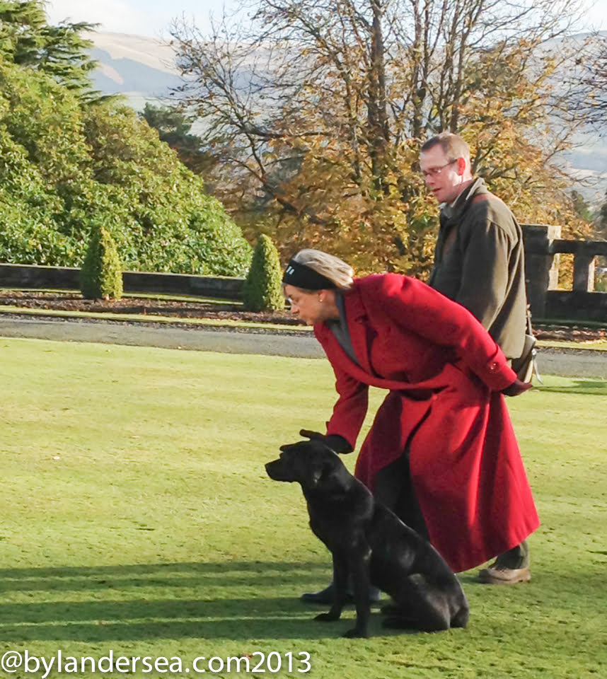 Gun Dog class at Gleneagles